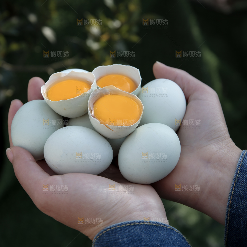 绿壳鸡蛋