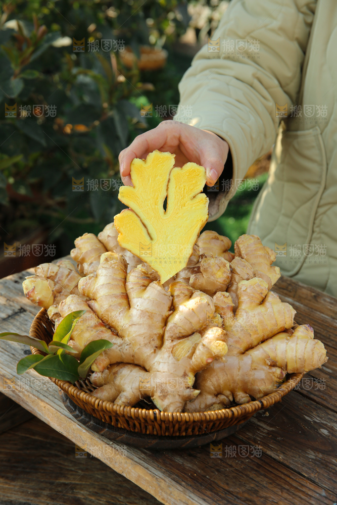 小黄姜