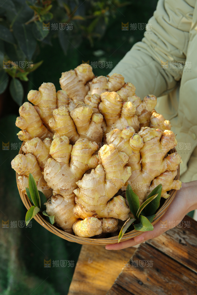 小黄姜