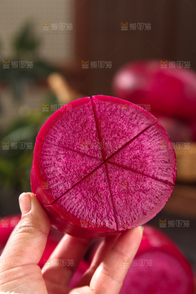 紫美人萝卜