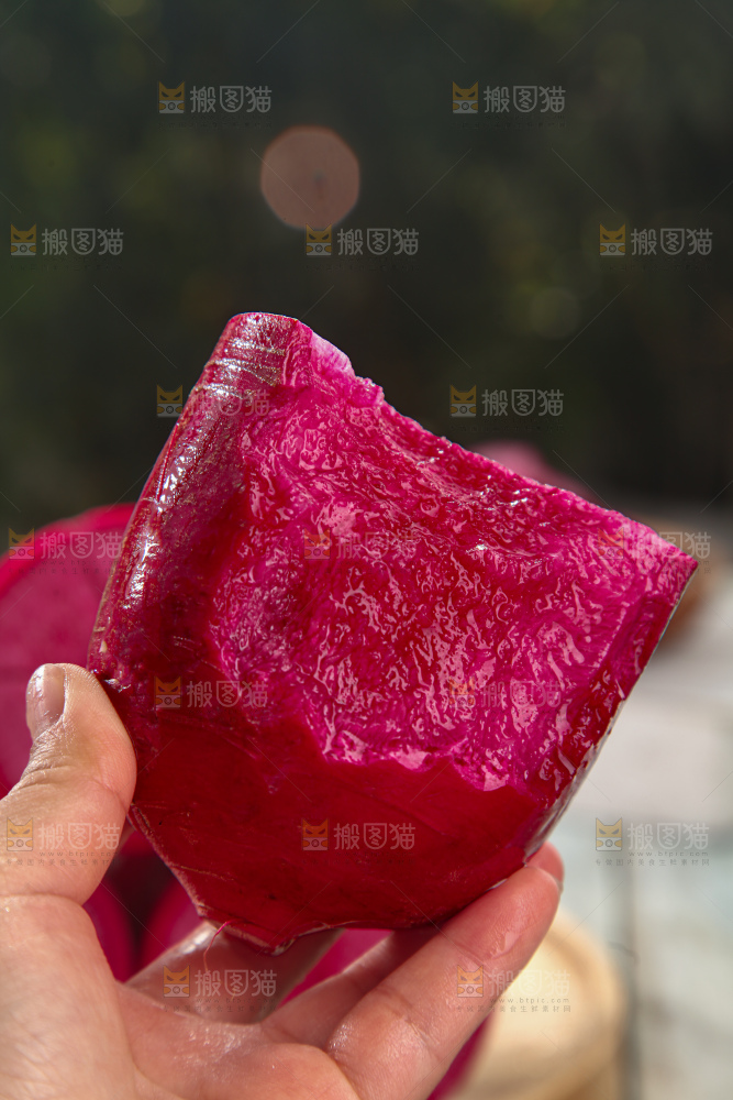 紫美人萝卜