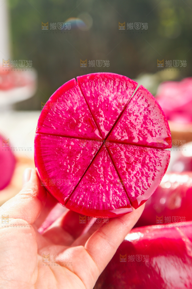 紫美人萝卜 