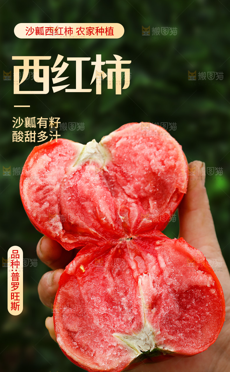 普罗旺斯西红柿详情
