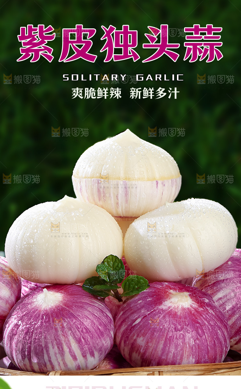 紫皮独头蒜详情页