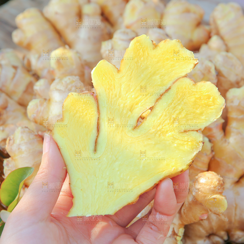 小黄姜