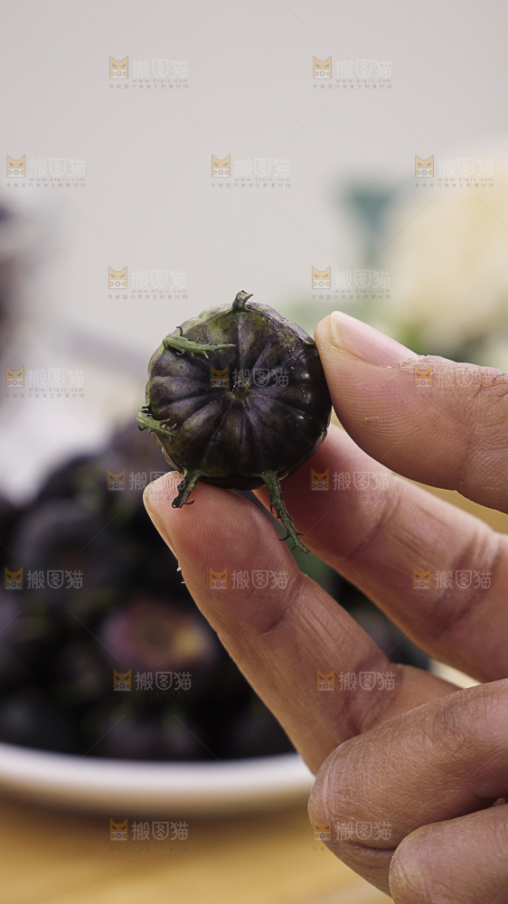 红果参