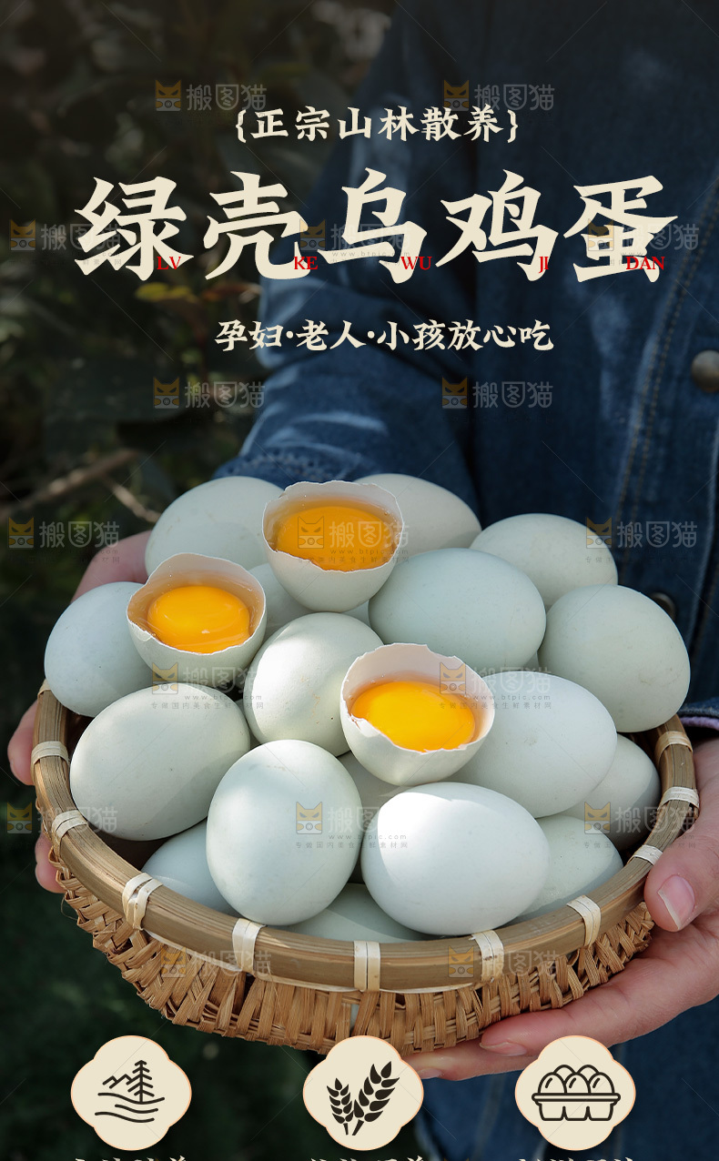 绿壳鸡蛋详情页