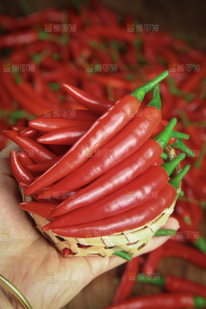 小米辣