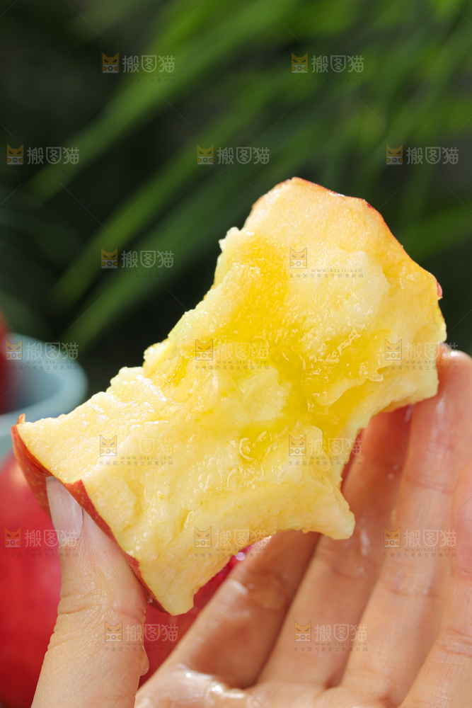 福布瑞斯苹果