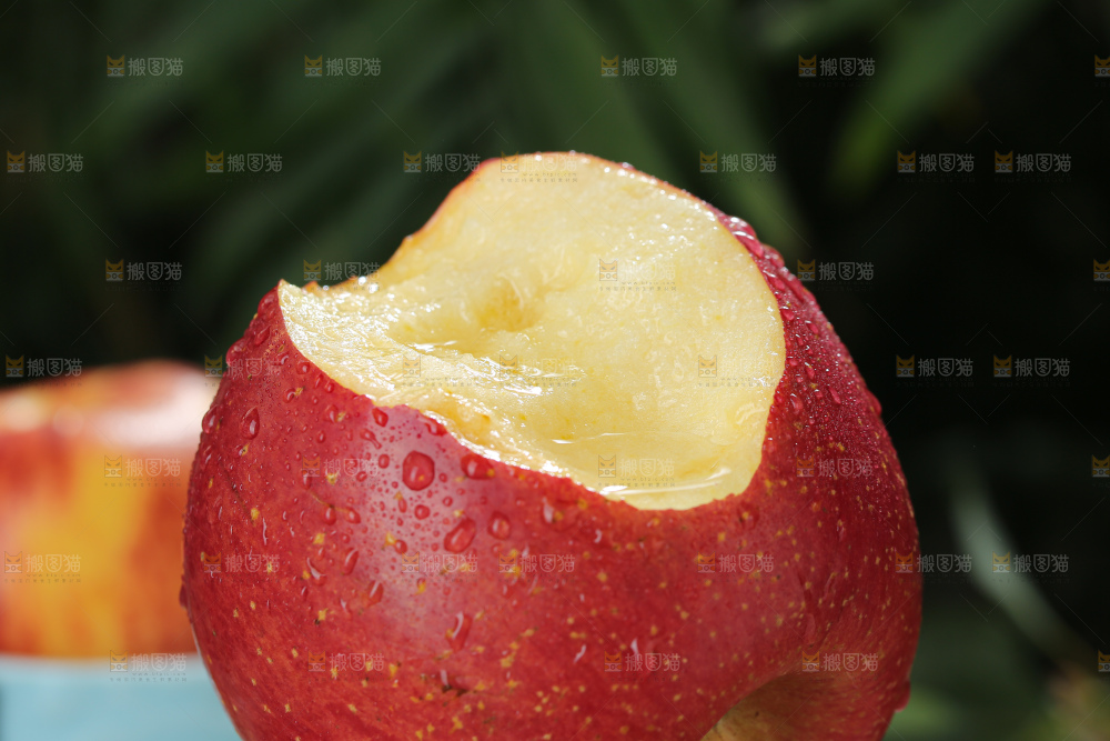 福布瑞斯苹果