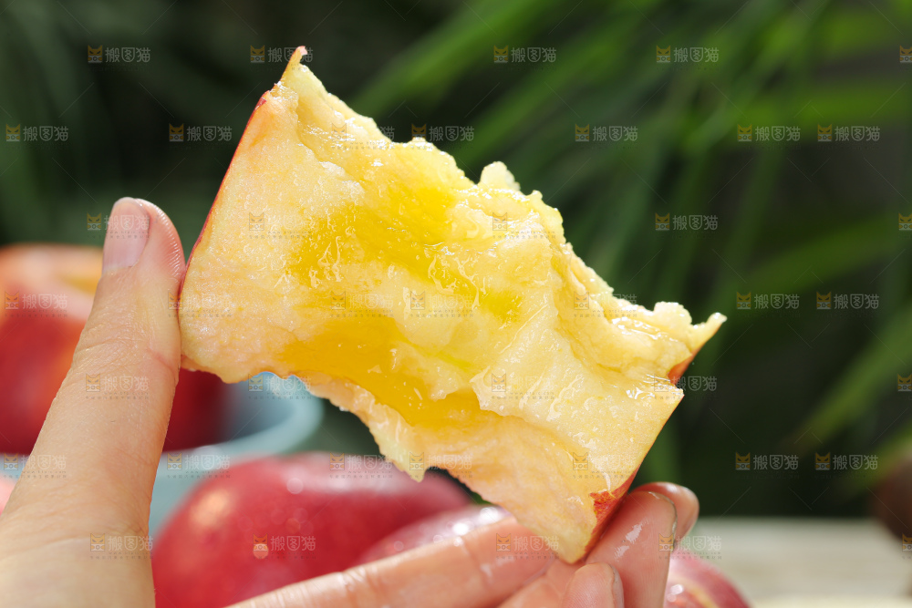 福布瑞斯苹果