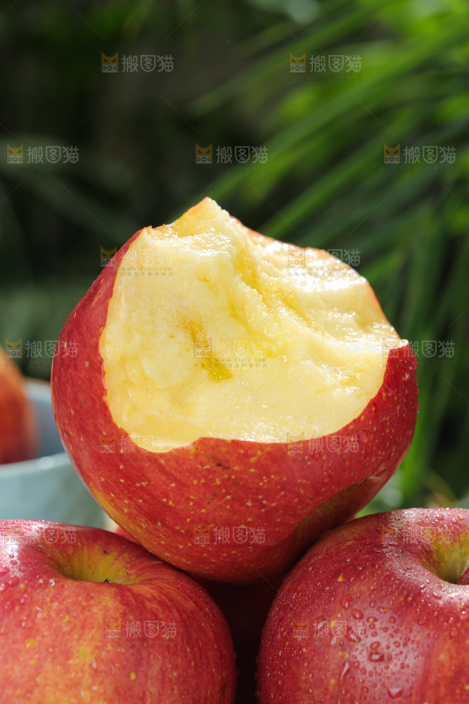 福布瑞斯苹果