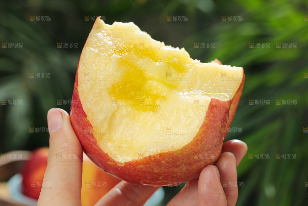 福布瑞斯苹果