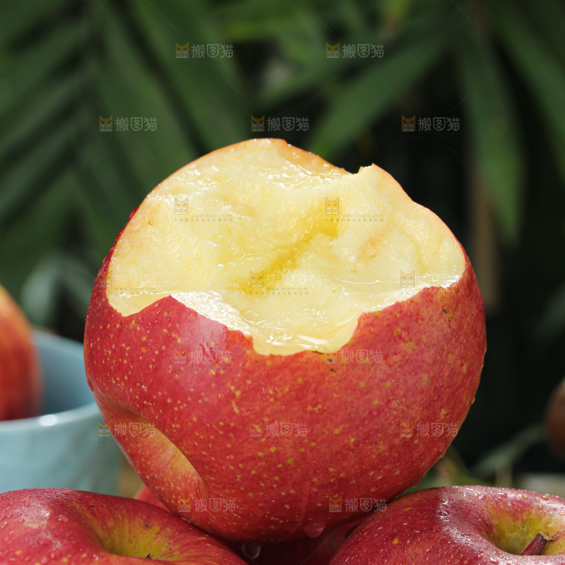 福布瑞斯苹果