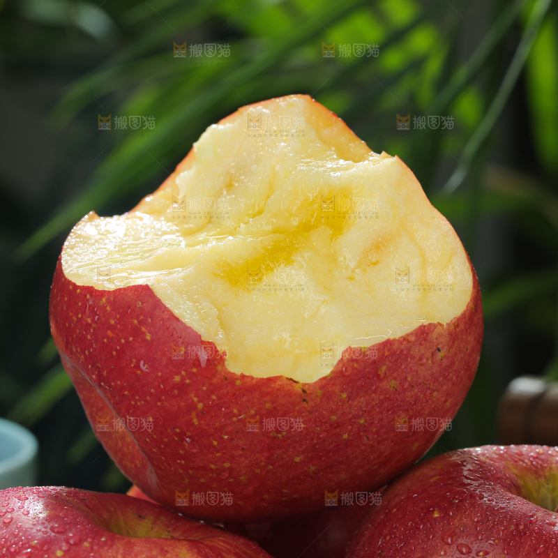 福布瑞斯苹果