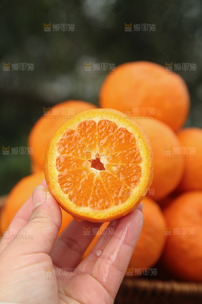 椪柑