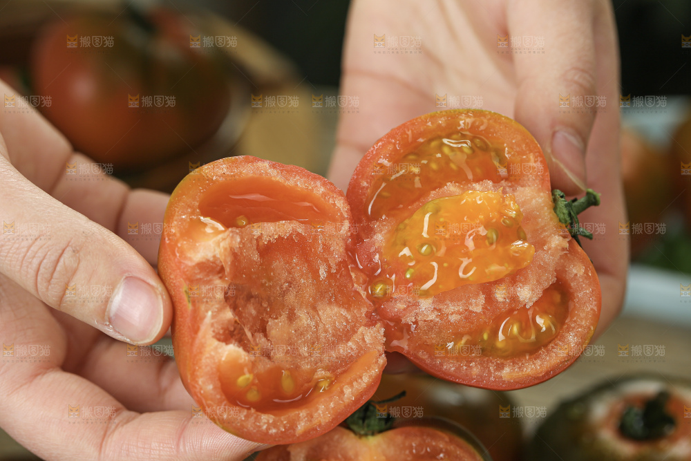 铁皮草莓柿子