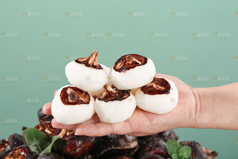 马蹄