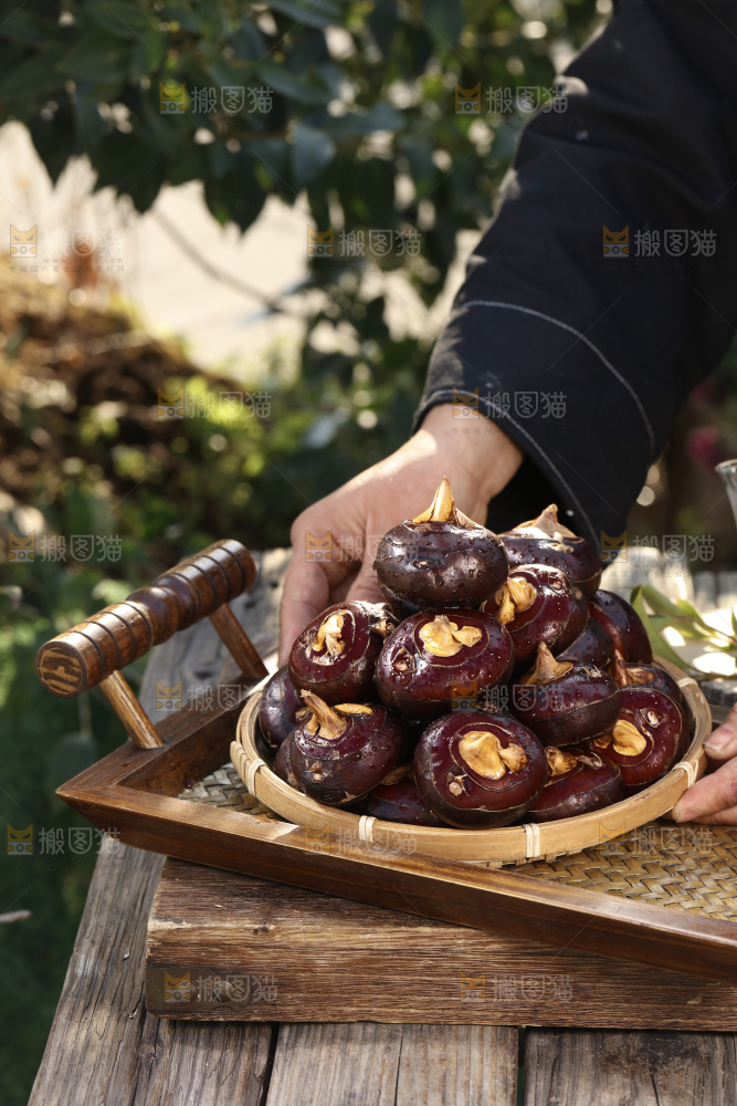 马蹄