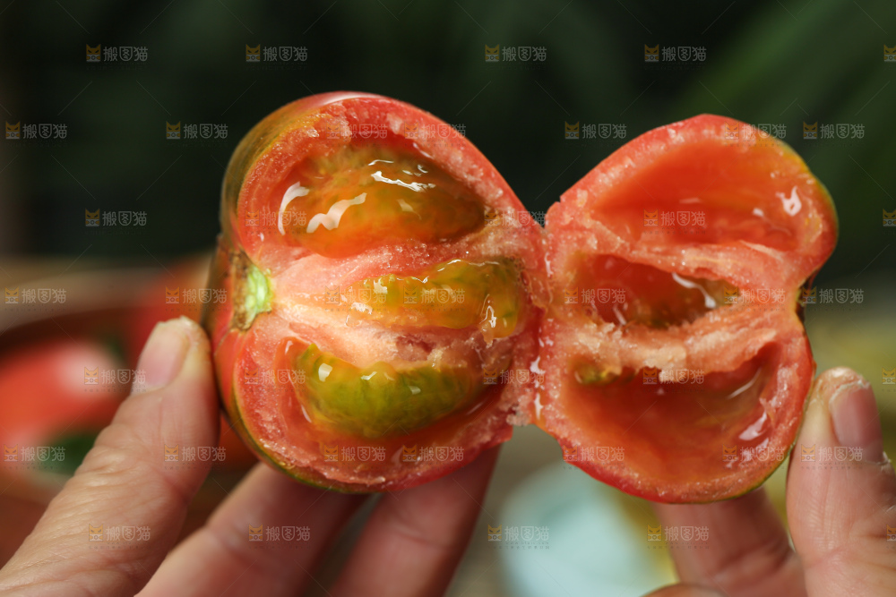 铁皮草莓柿子
