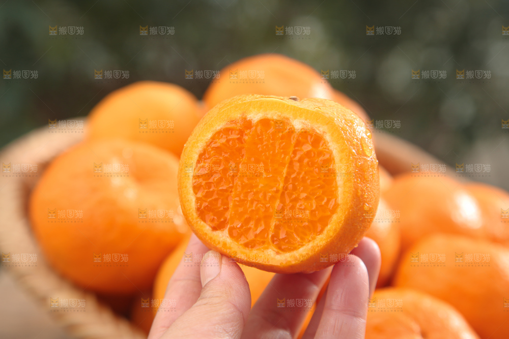 椪柑