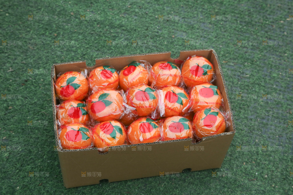 椪柑