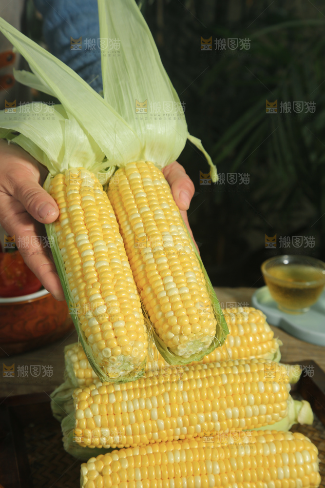 水果玉米