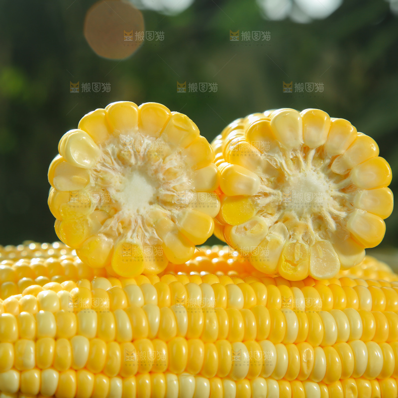 水果玉米