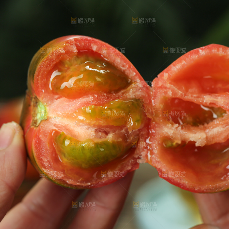 铁皮草莓柿子