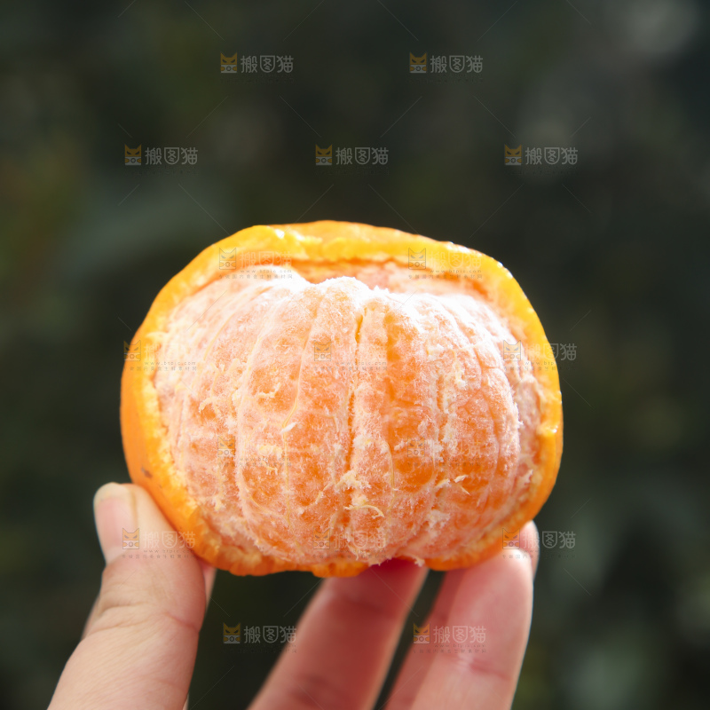 椪柑