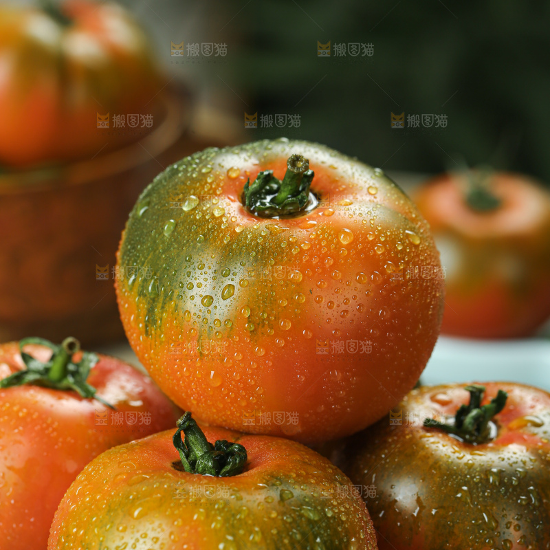 铁皮草莓柿子