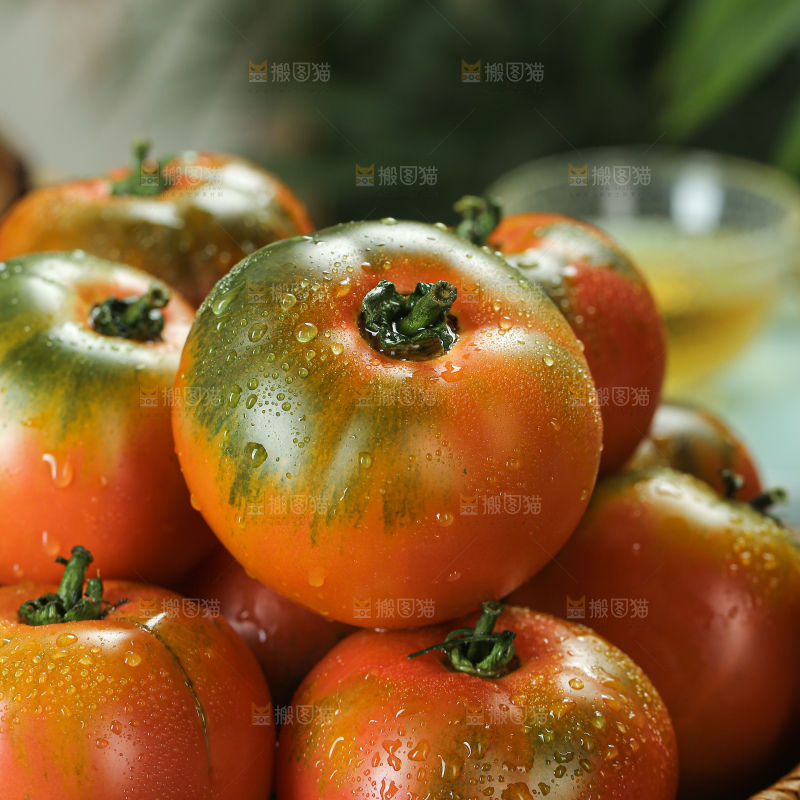 铁皮草莓柿子