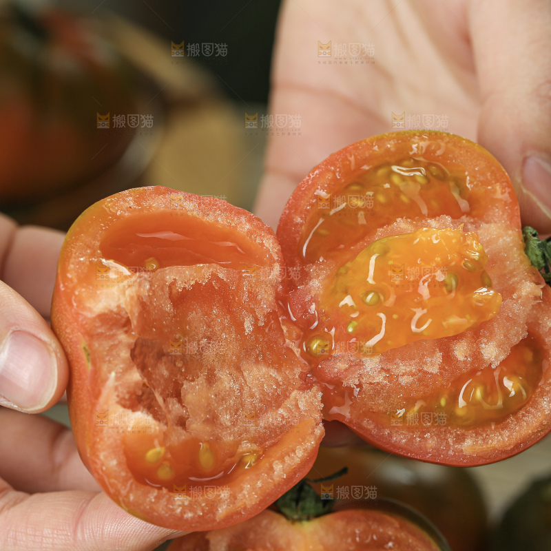 铁皮草莓柿子
