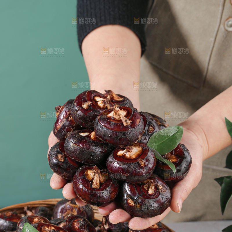 马蹄