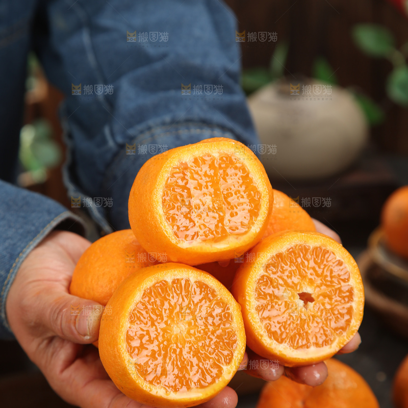 椪柑