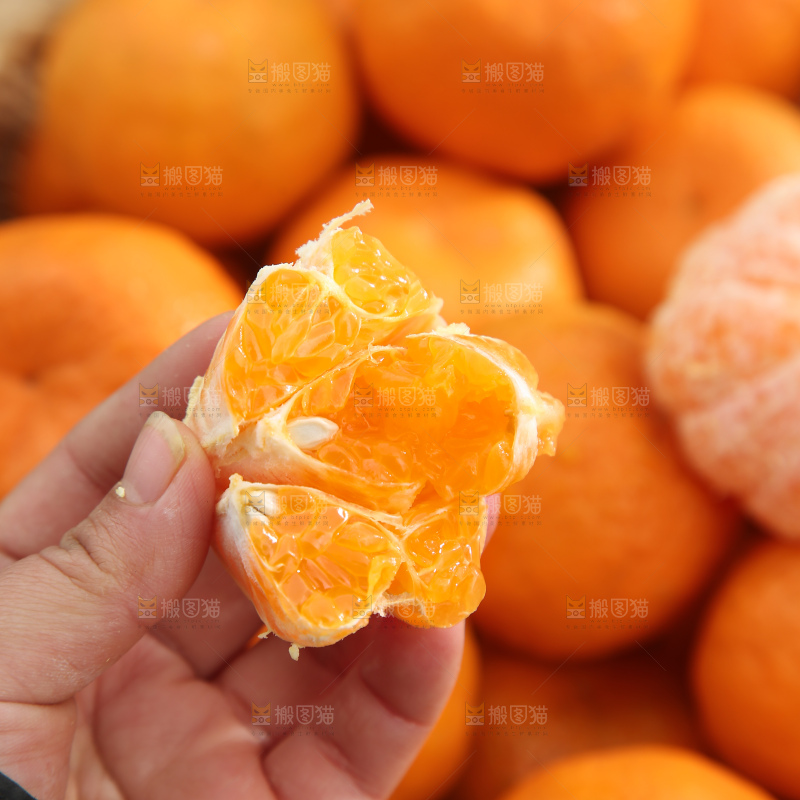 椪柑