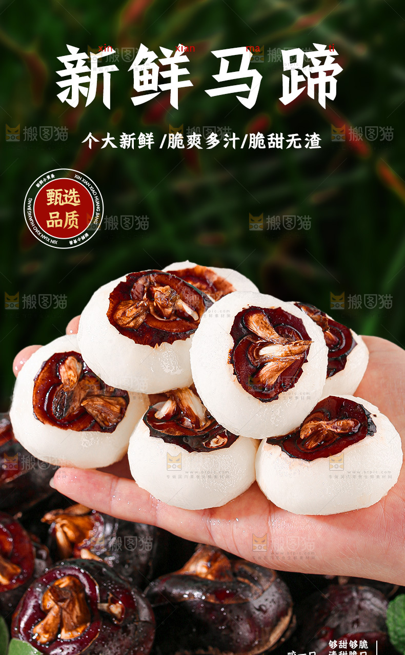 马蹄详情页