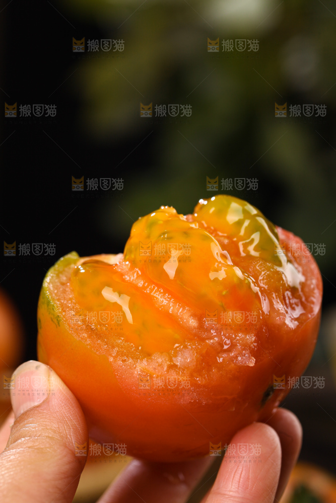 铁皮草莓柿子