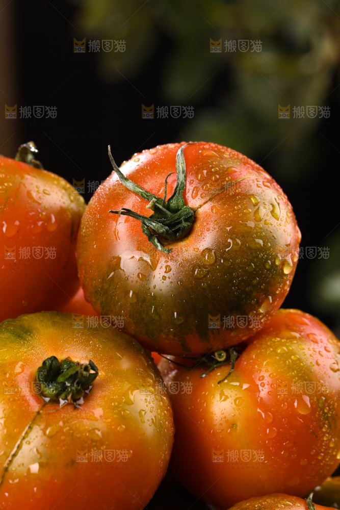 铁皮草莓柿子