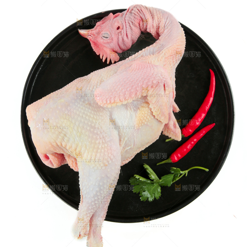 鸡