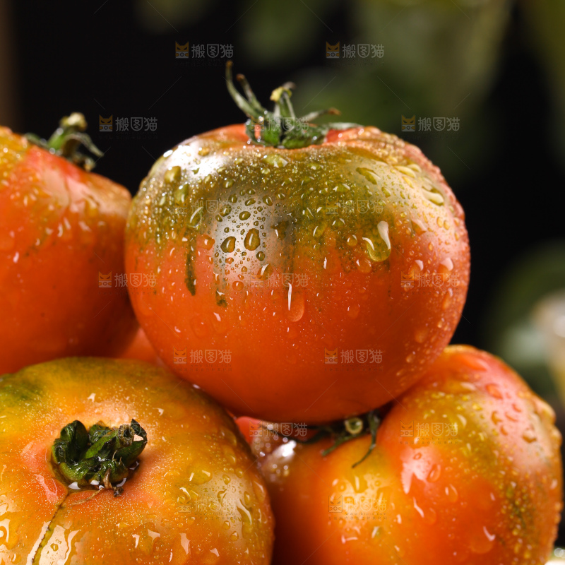 铁皮草莓柿子