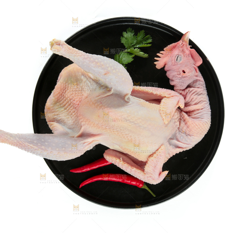 鸡