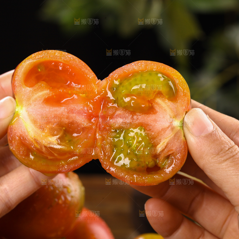 铁皮草莓柿子