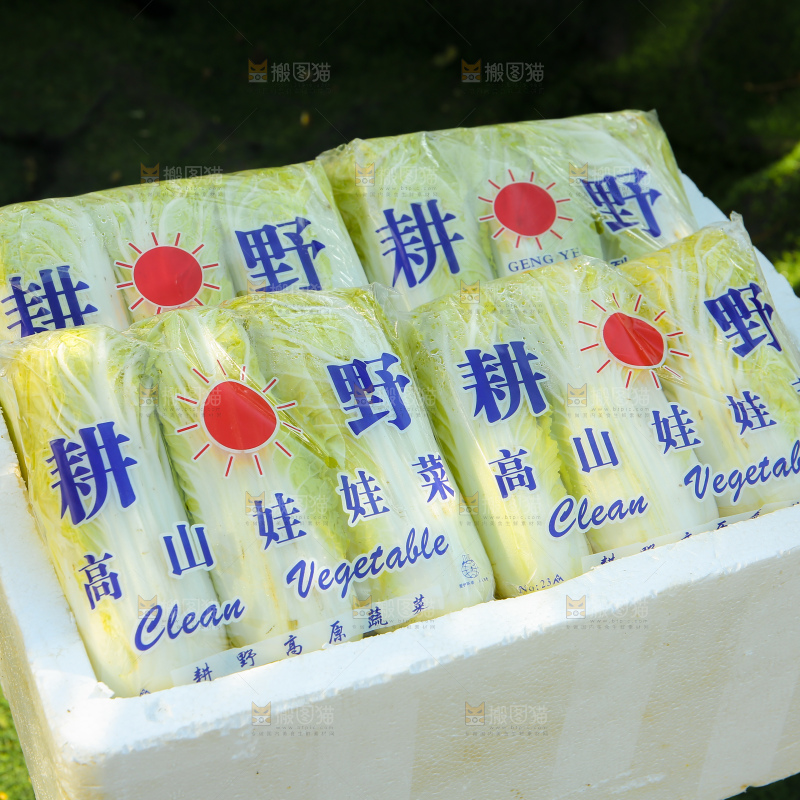 娃娃菜