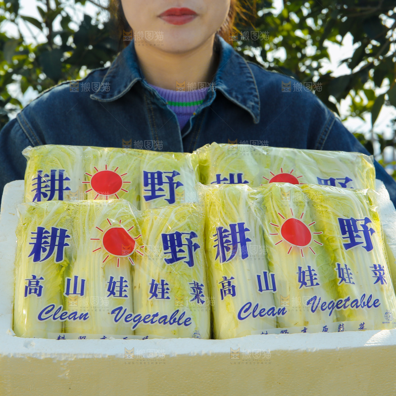 娃娃菜