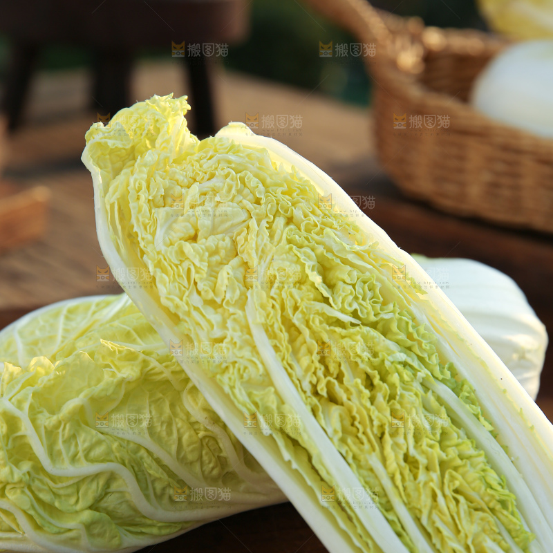 娃娃菜
