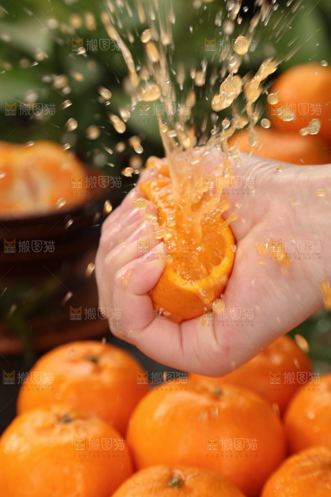 椪柑