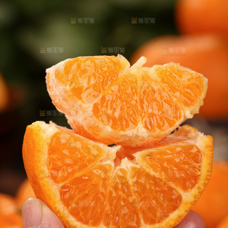 椪柑