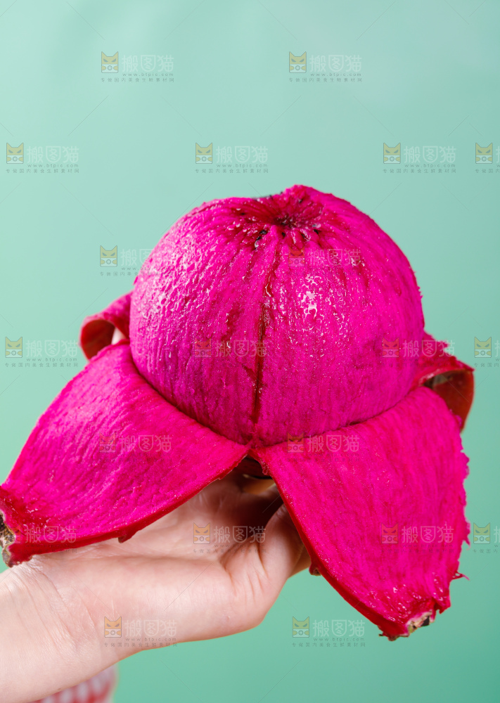 红心火龙果