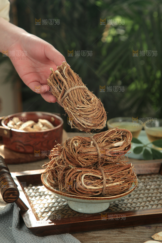 五指毛桃